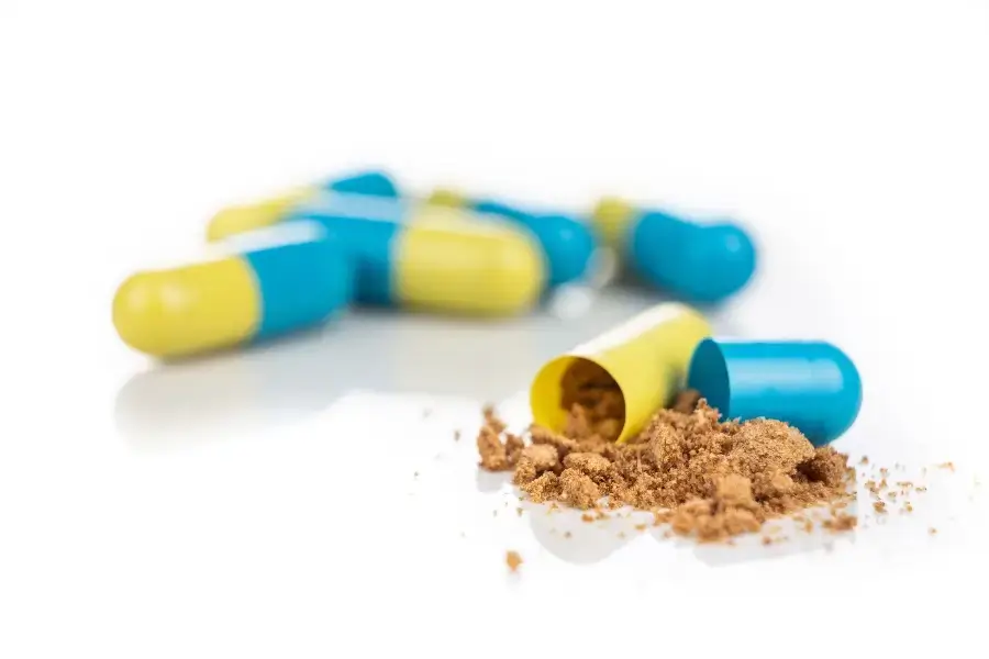 STEFFI BRISCH - Darmbakterien